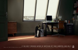 Publicité EDF manchot