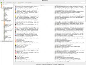 firefox3_unfiled-bookmarks Unfiled bookmarks dans Firefox 3