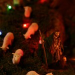 img_7102 img_7102