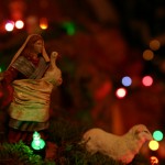 img_7166 img_7166