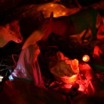 img_7181 img_7181