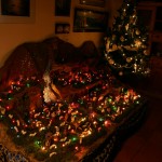img_7192 img_7192